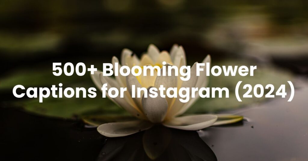 500+ Blooming Flower Captions for Instagram (2024) - Arvin