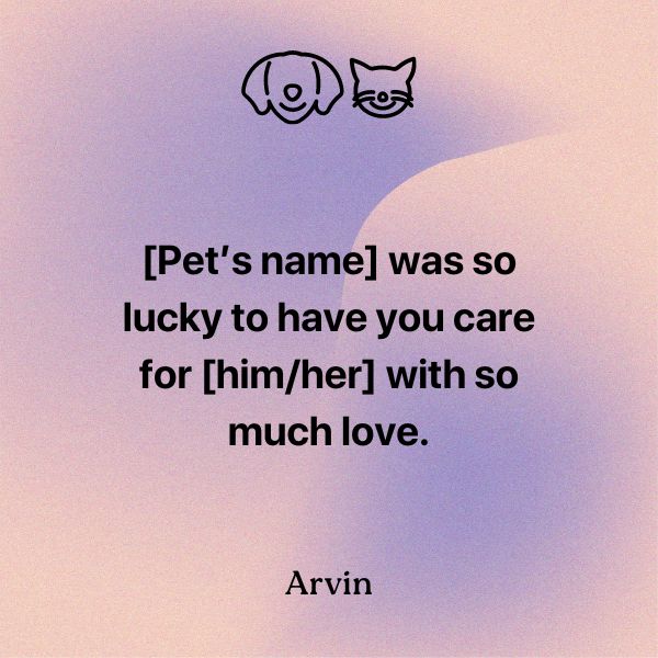 short loss of a pet message