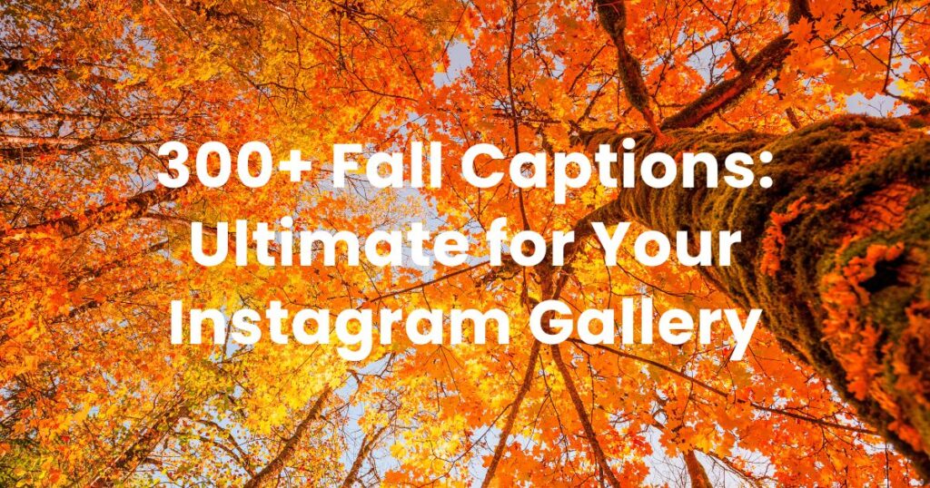 300+ Fall Captions: Ultimate for Your Instagram Gallery