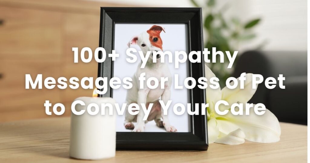 100+ Sympathy Messages for Loss of Pet to Convey Your Care