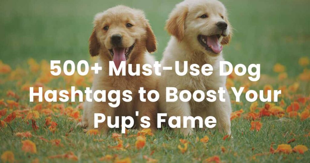 500+ Must-Use Dog Hashtags to Boost Your Pup's  Fame