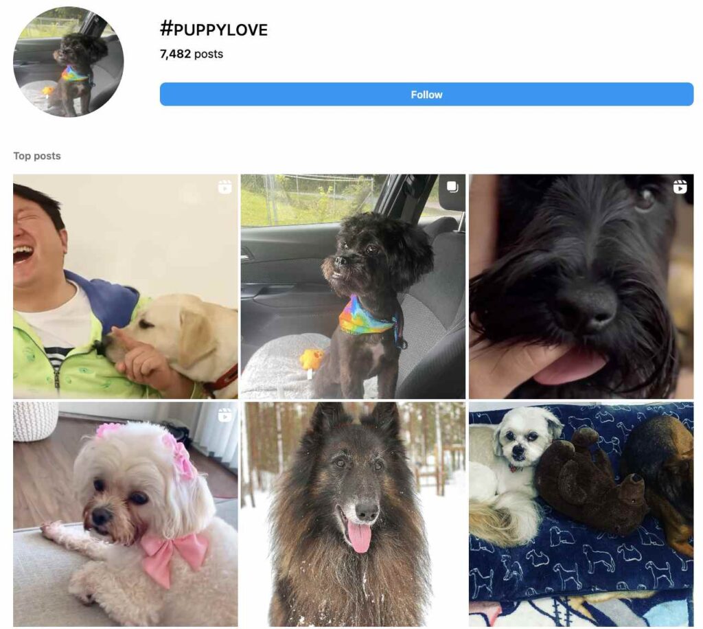 dog hashtags-pupyylove