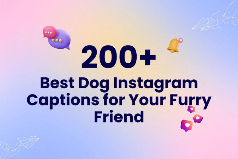 200+ Best Dog Instagram Captions for Your Furry Friend