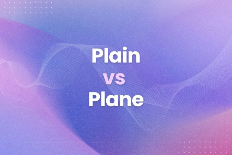 Plain vs Plane: What Is It?