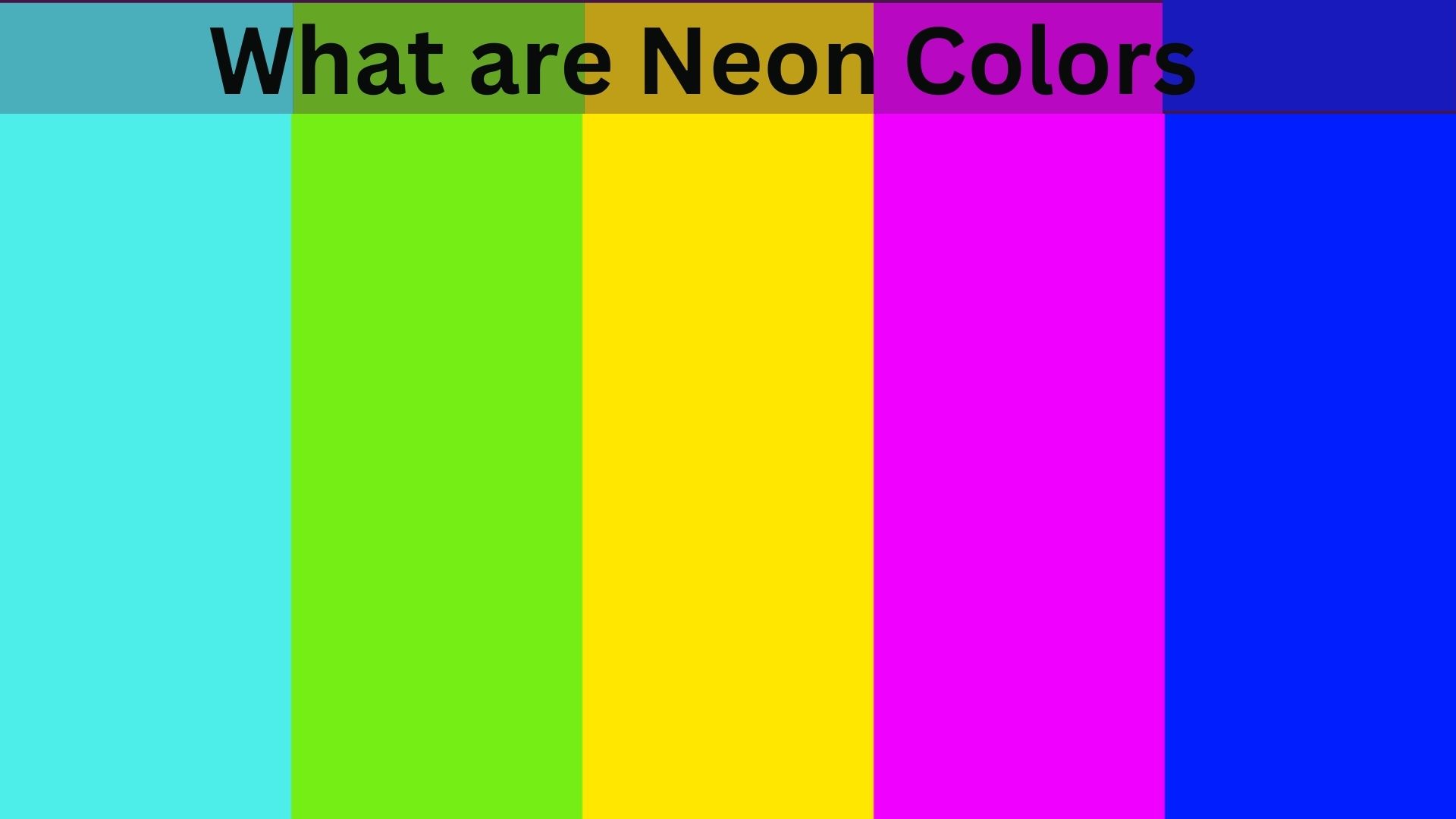 what are neon colors?