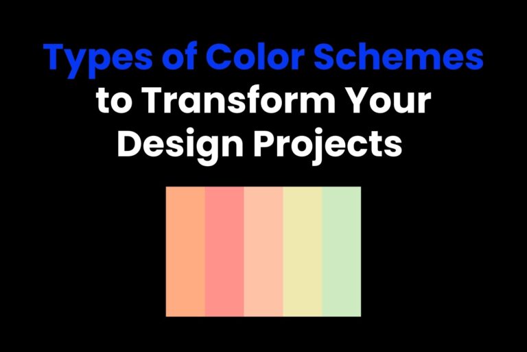 Types of Color Schemes to Transform Your Design Projects