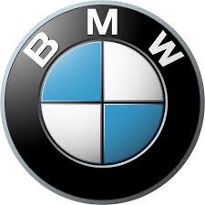 bmw embelm logo