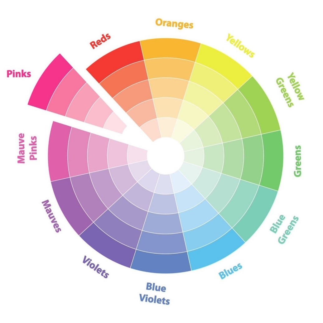 Types of Color Schemes to Transform Your Design Projects - Find Tip-top ...