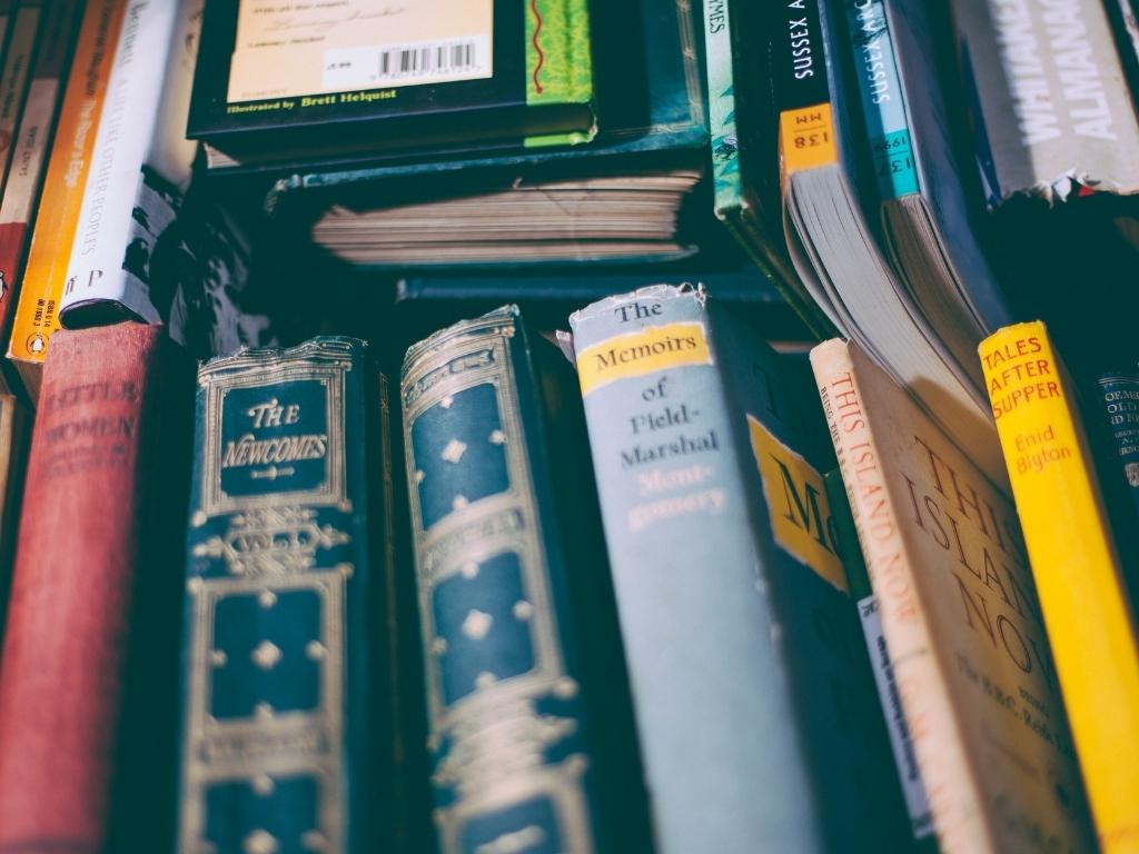 books placed in a book shelf. 