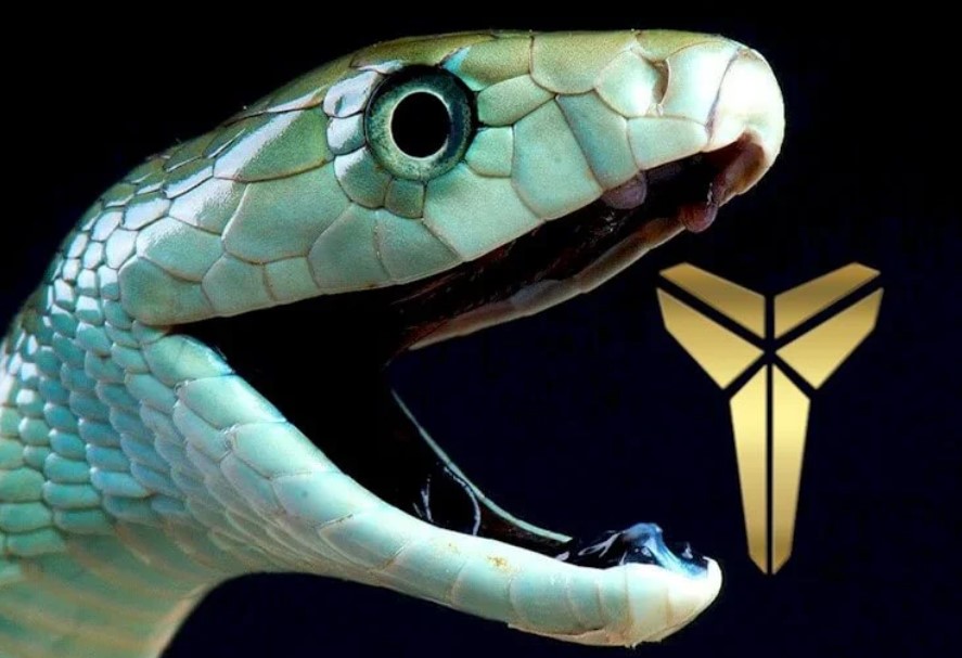 black mamba kobe logo