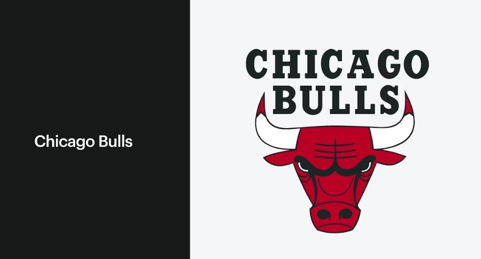 chicago bulls team logos