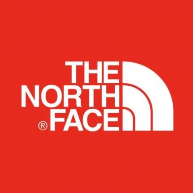 current northface logo