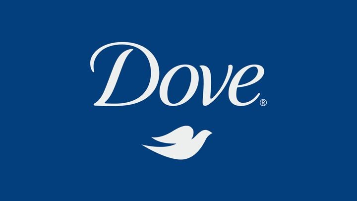 dove bird logo