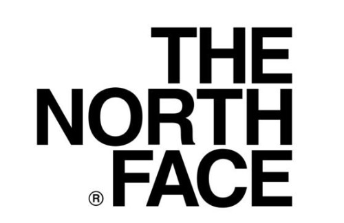 typography of northface logo