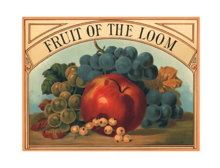 1893 fruit of the loom logo