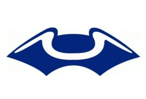 1960 patriots logo