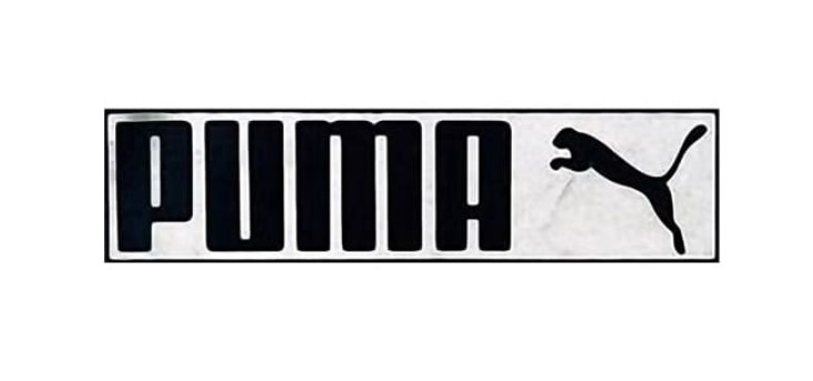 1974 - 1976 puma logo