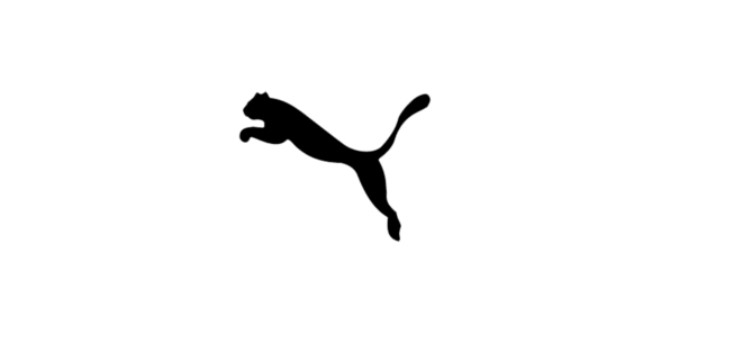 1978 - 1980 puma logo