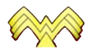 1995 wonder woman logo