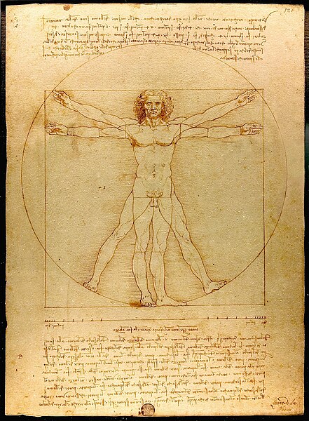 The Vitruvian Man
