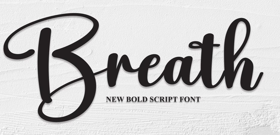 brethy signature wedding fonts