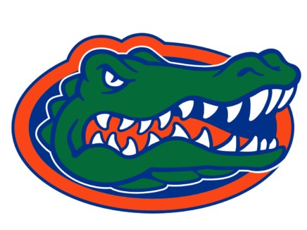 florida gaters softball logo