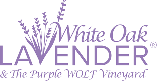 White Oak Lavender Farm - Homepage