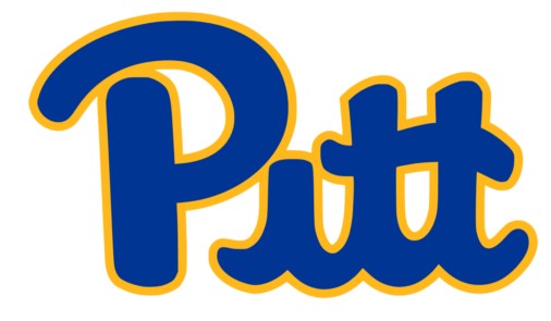 pittburgh panters softball logo