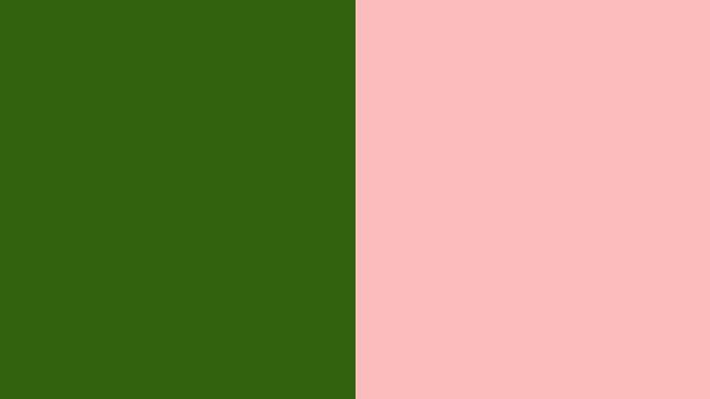 what color goes with dark green and blush pink