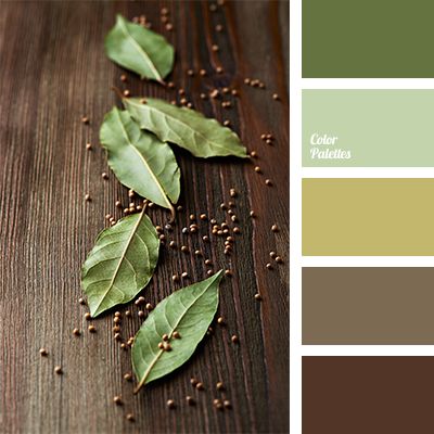 what color goes with dark green and brown