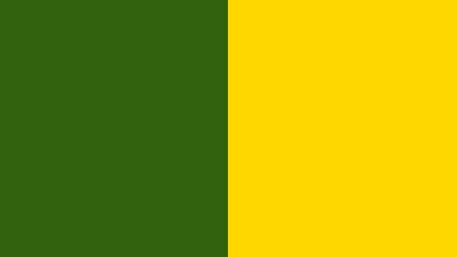 what color goes with dark green and gold