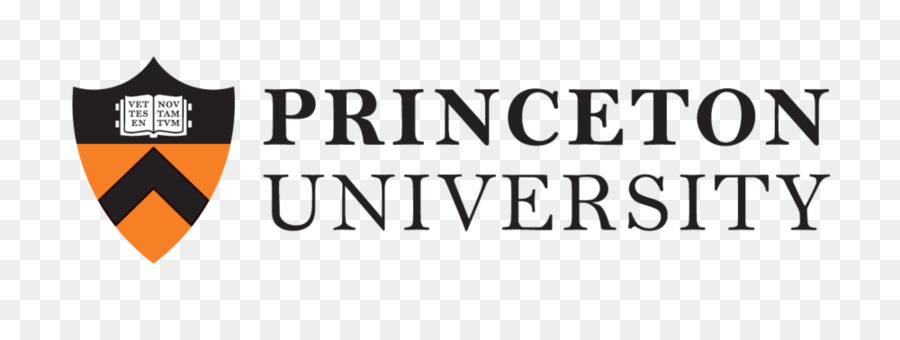 princeton american university logo