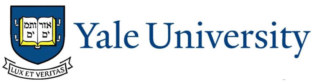 yale american university logo